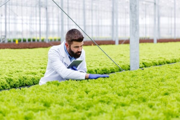 Experience True Farming