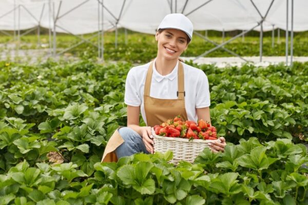 Taste the Difference