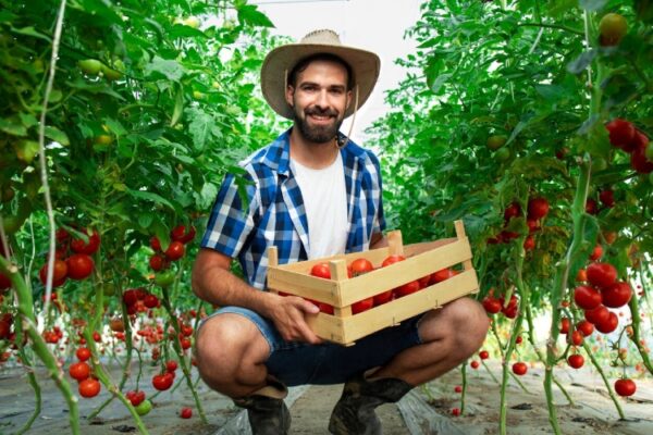 Focused on Innovation & Sustainability