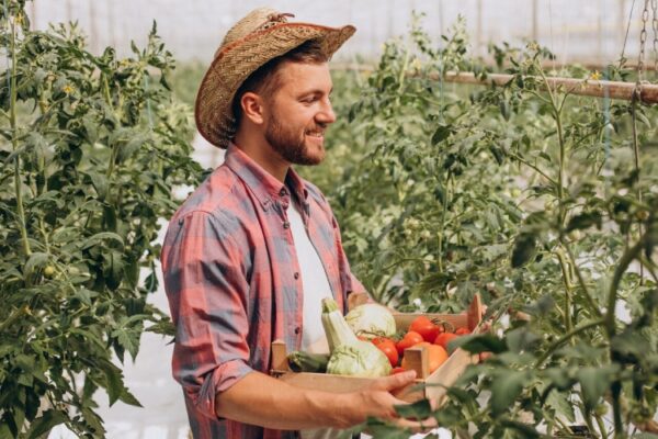 Innovate. Grow. Harvest.