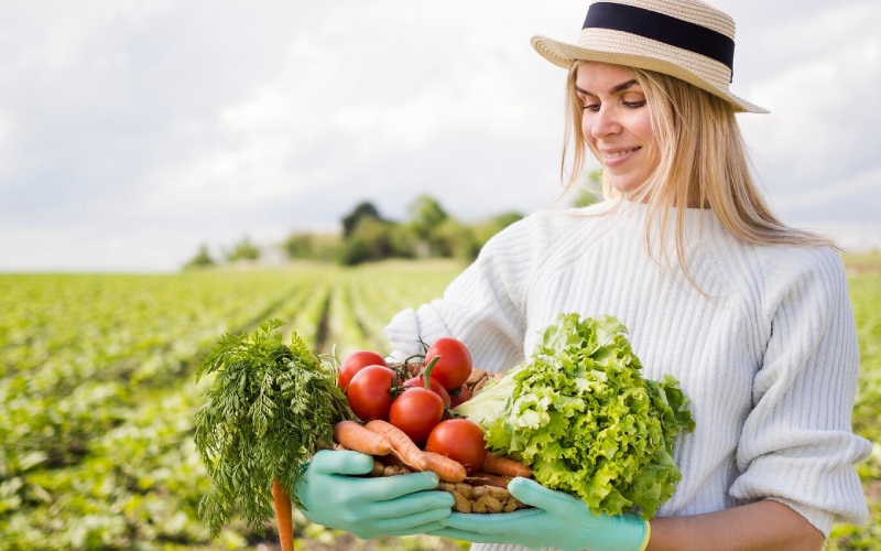 Crop planning & rotation