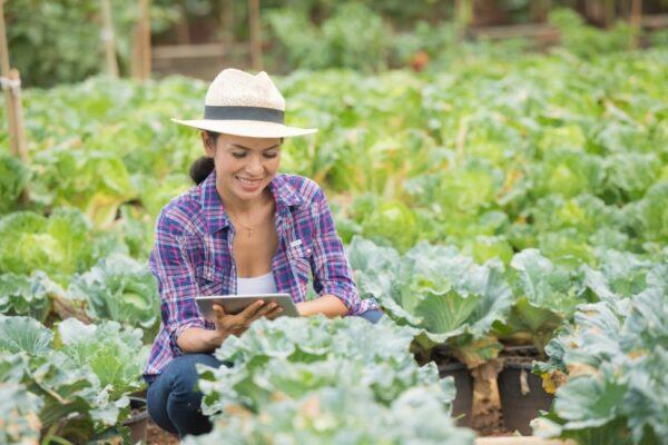 Sustainable Harvesting Methods Every Farmer
