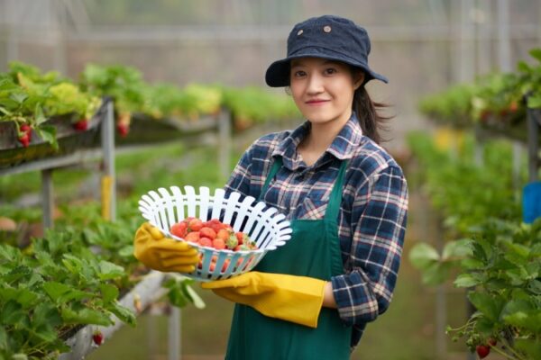 How Climate Change is Affecting Modern Agriculture