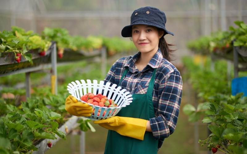 How Climate Change is Affecting Modern Agriculture