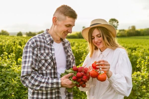 Why Crop Rotation Is Still One of the Best Farming