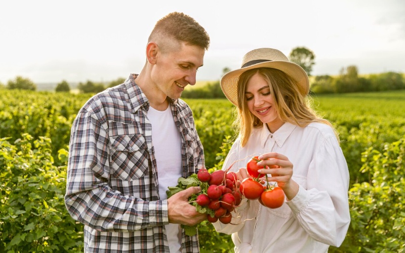 Why Crop Rotation Is Still One of the Best Farming