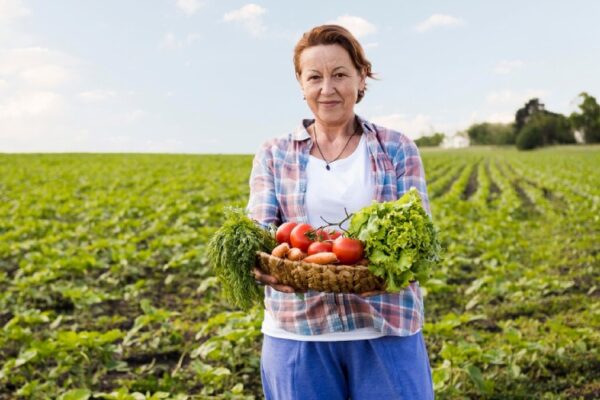 The Science Behind a Successful Harvest Season