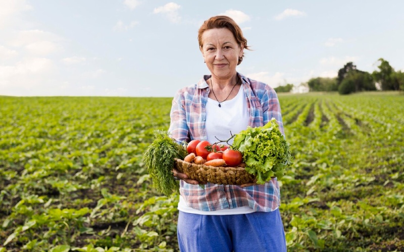 The Science Behind a Successful Harvest Season